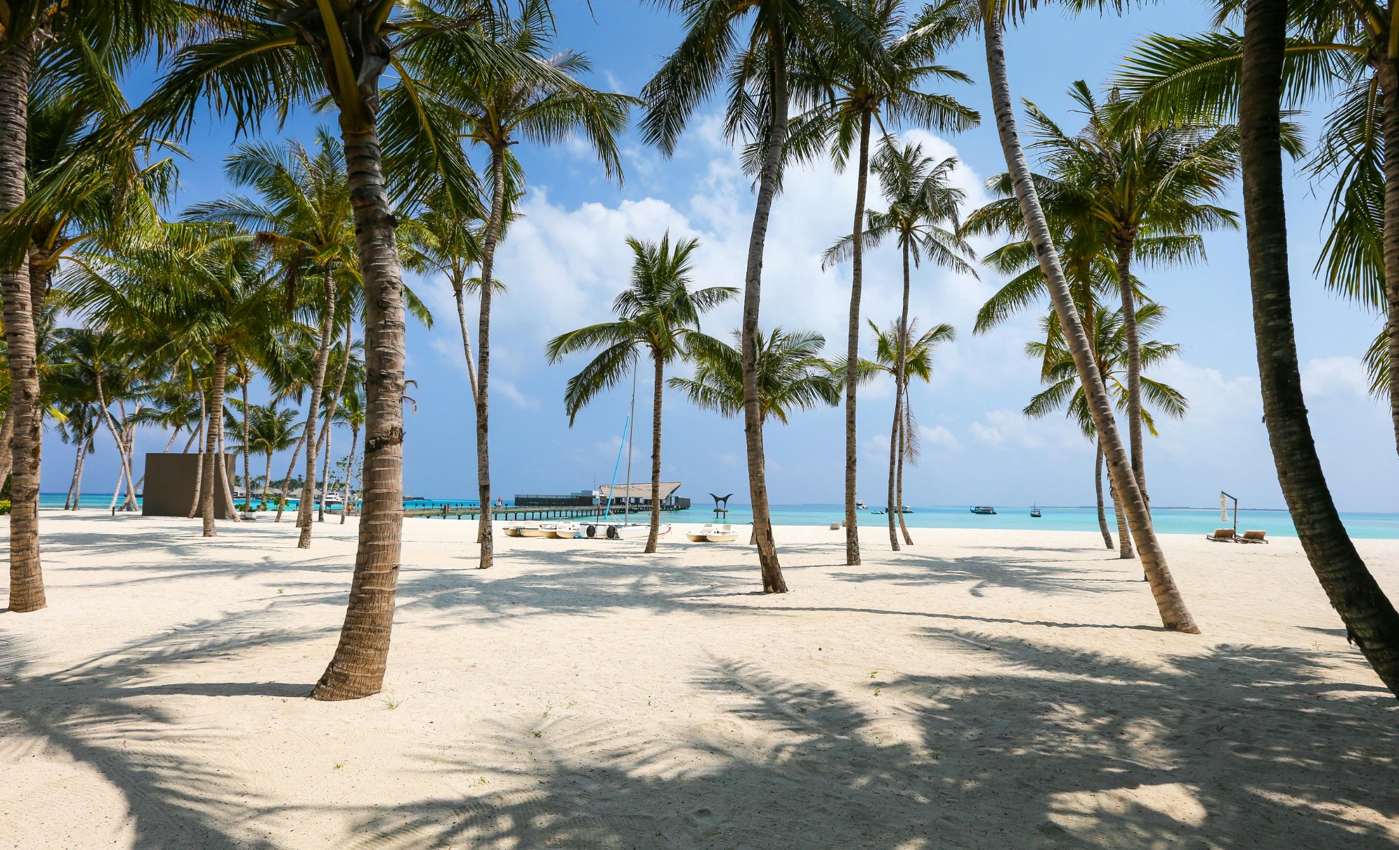 Palm-lined white sand beach with turquoise water and overwater structures