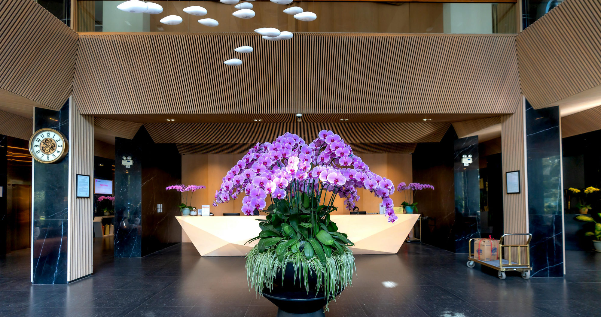 Luxurious hotel lobby with orchid display